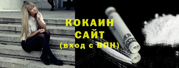 мяу мяу мука Бородино