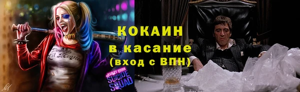 мяу мяу мука Бородино