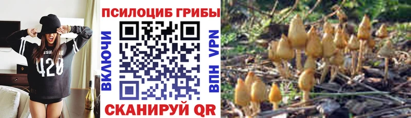 Галлюциногенные грибы MAGIC MUSHROOMS  Верхоянск 